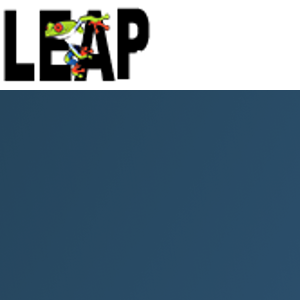 Leap interactive media group logo