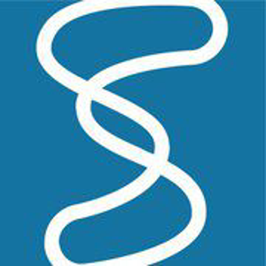 The Shoestring Agency logo