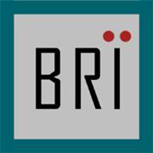 Britsma Design Group Ltd. logo