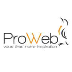 ProWeb Solutions logo
