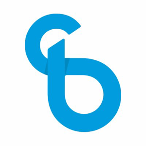 Bluestorm logo