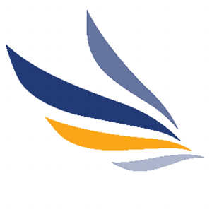 NetStrategies logo