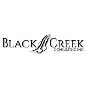 Black Creek Consulting logo