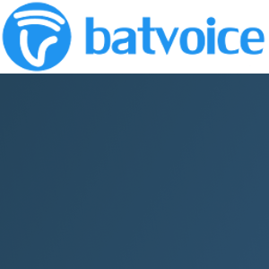 Batvoice | Callwatch logo