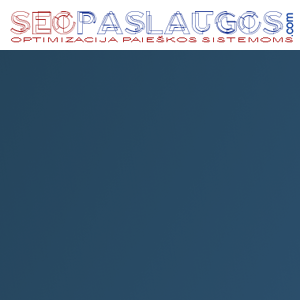 SEO paslaugos logo