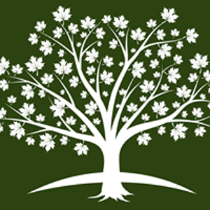 Growth Alchemy Group logo