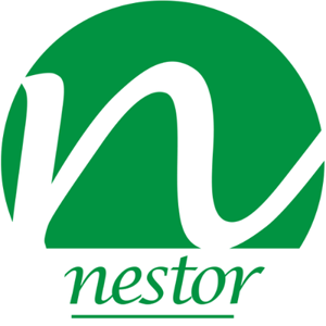 Nestor Business Consulting logo