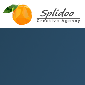 Splidoo logo