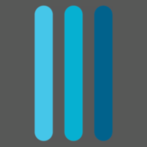 Fromson Consulting logo