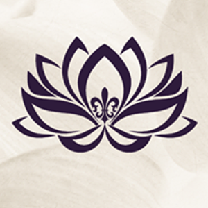 Dana Scott Design logo