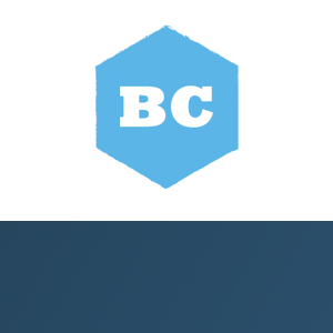 BluChip Solutions LTD logo