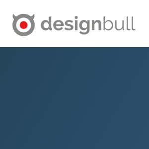 DesignBull Ltd logo
