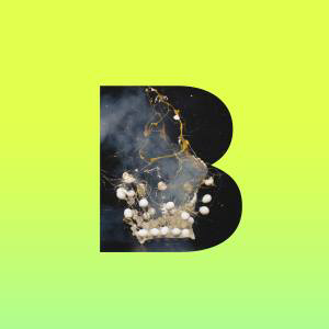 Lorenzo Bennassar logo