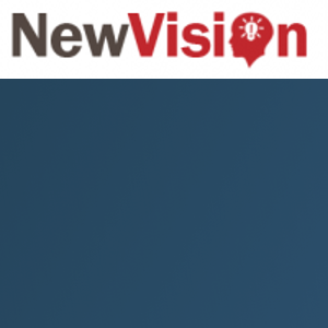 NewVision Softcom &amp; Consultancy logo