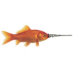 Swordfish Advertising logo
