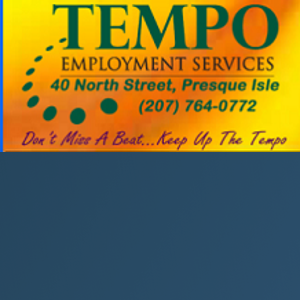 Tempo Employment Services logo