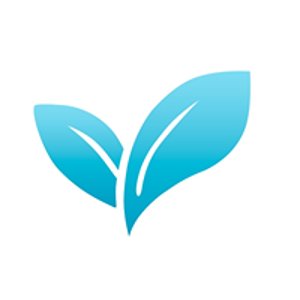 Neueseo logo