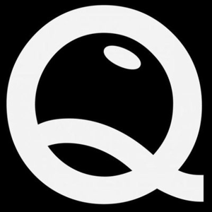 Qinesis logo