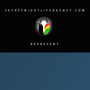 Secret Nightlife Agency logo