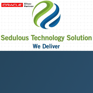 Sedulous Tech Solutions LLC logo
