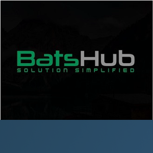 Batshub logo