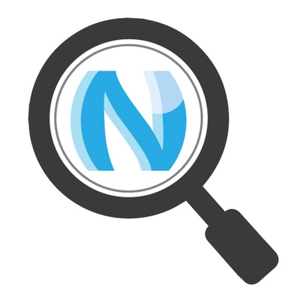 Naperville SEO logo