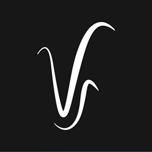 Venture Stream logo
