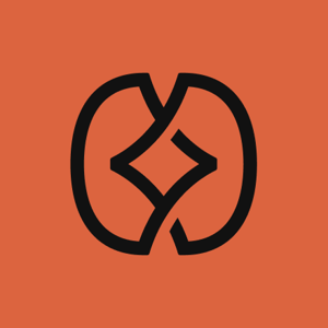 Team Codesign logo