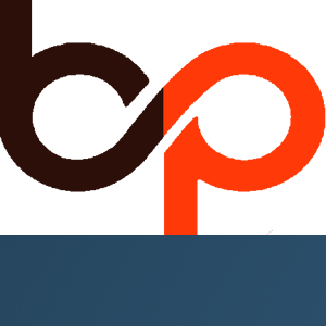 Banshi Global Technologies Private Limited logo