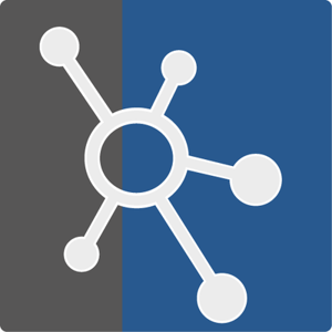 NetSupport Limited logo