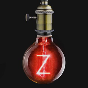 Zool Digital logo