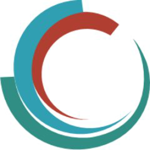 Secon Cyber Security logo