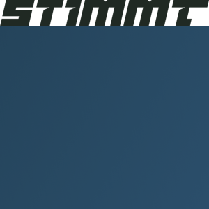 Stimmt Digital B.V. logo