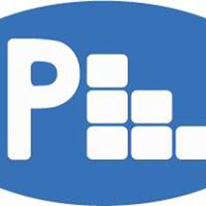 Pleiades Bangladesh Ltd. logo