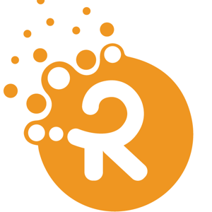 Raise IT Solutions Ltd. logo