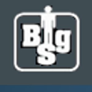 Big S Web Design logo