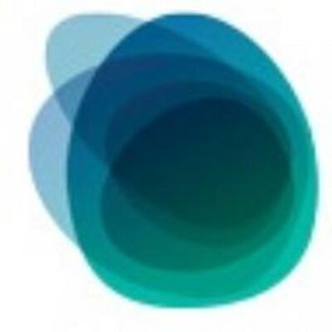 Consilient Inc. logo