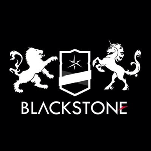 BLACKSTONE DIGITAL AGENCY logo