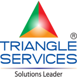 Triangle Services Limited logo