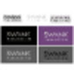Swank PR/Publishing logo