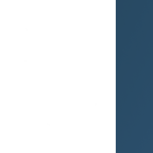 Precision Language Services logo