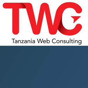 Tanzania Web Consulting logo