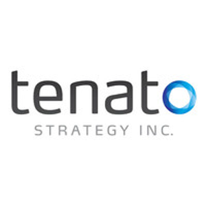 Tenato Strategy Inc. logo