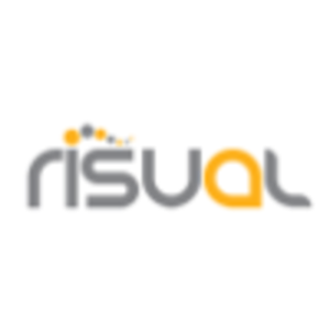 risual Limited logo