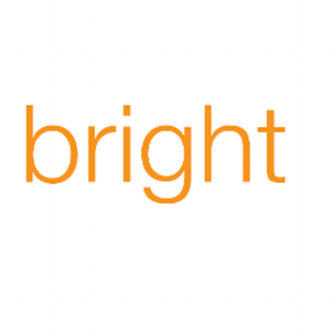 The Bright Consultancy Limited logo