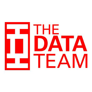 The Data Team logo