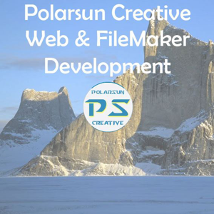 Polarsun Creative logo