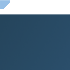 BottomLine Group logo