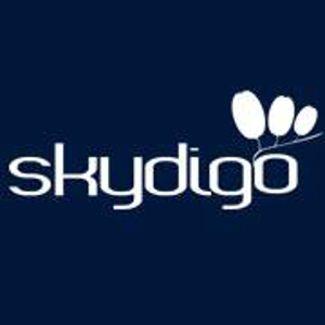 skydigo logo