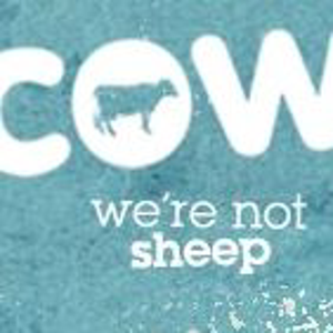 Cow PR logo